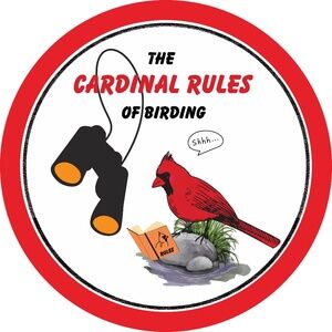 Cardinal Rules sticker (Bundle ANY 3 stickers for $15)